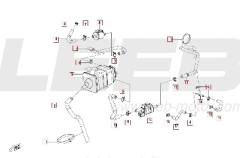 Abgas und Emission - CFMOTO 450 MT