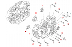 SWM Ace of Spades Euro 4 Motorgehäuse links