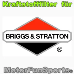 Kraftstoffilter Briggs & Stratton