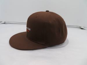 Brixton brown cap