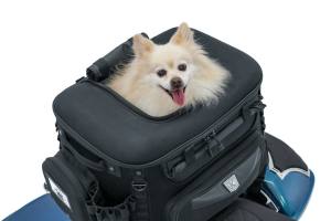 Tiertransporttasche für Quad und Motorräder Grand Pet Pal