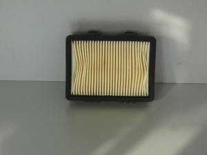 Aprilia Tuono 457 Luftfilter