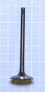VALVE, EXHAUST