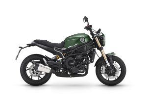 Grün Leoncino 800
