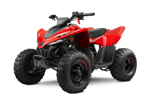 CFMoto CForces 110 kaufen