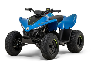 CFMoto Cforce 110