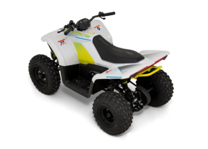 CFMoto Cforce ev 110