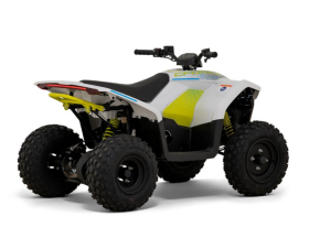 Cforce ev 110