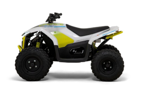 Kinder E-Quad kaufen