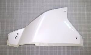 Kühlerverkleidung CFMOTO