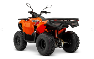 Loncin X Wolf 200 kaufen