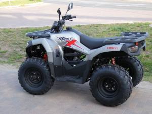 Loncin X Wolf 200 Preis