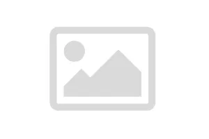 Einlassventilsitz SWM-8000A5450 SWM RS 500R E4