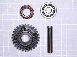 Zahnrad (50) CForce 1000