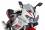 Benelli BN302R Windschild