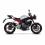 Triumph Street Triple 765 Auspuffanlage LV Pro Carbon Carbon Slip-On