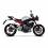 Triumph Street Triple 765 Auspuffanlage LV Pro Edelstahl Silber Slip-On