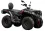 Loncin XWolf 300 (T3b)