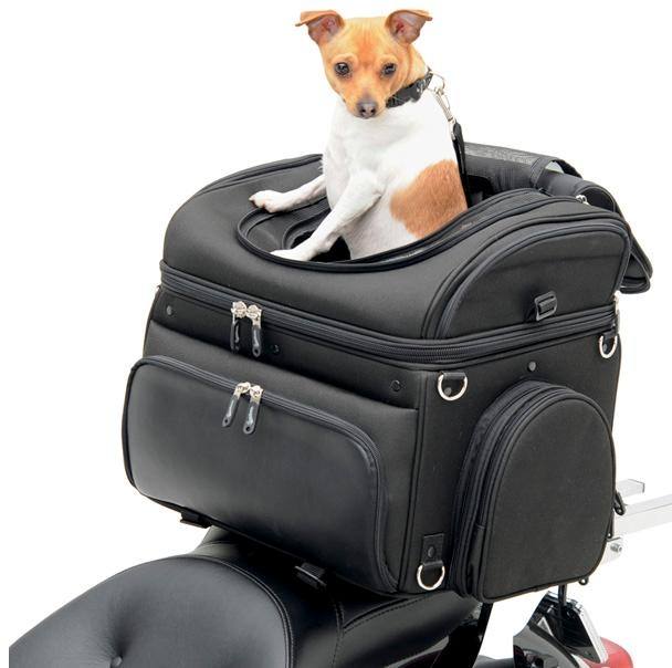 POW Pet Carrier Hundetransportbox für Hunde zur Befestigung auf dem Moped Fahrrad und geeignet auch für das Auto Motorrad 