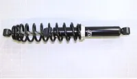 Federbein hinten schwarz - Blade...
