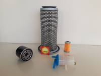 Iseki SF 330 mit Motor E3CDG - F...