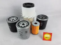 Filter Kubota F2404