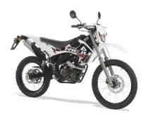 Rieju MRT 125i Cross